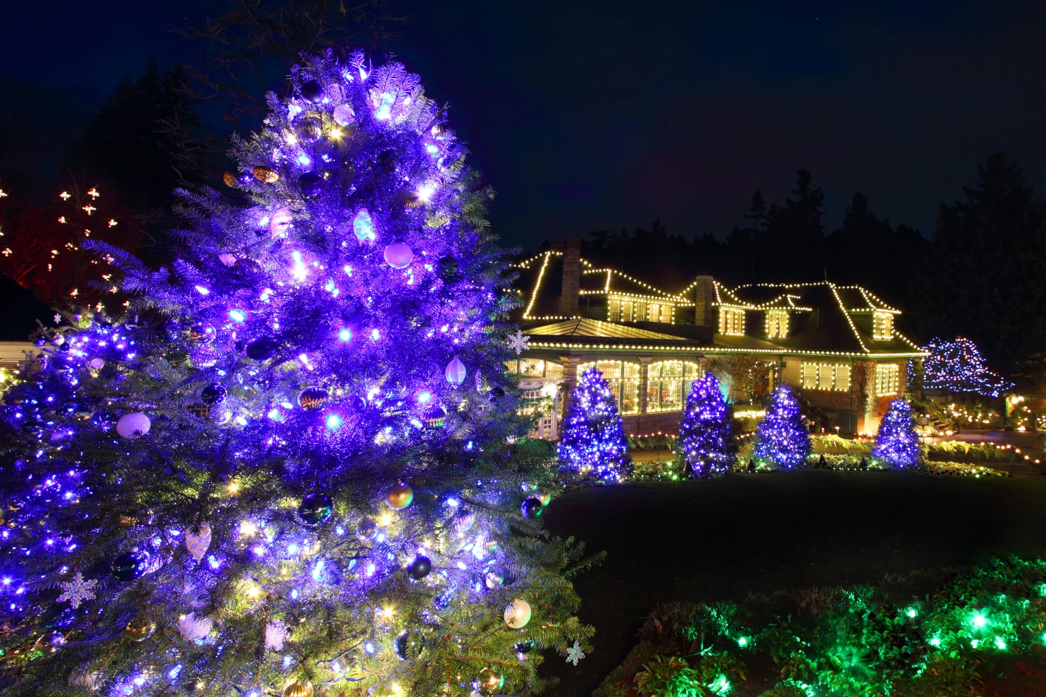 Home with Christmas lights on roofline, gutters and landscaping